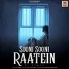 About Sooni Sooni Raatein Song